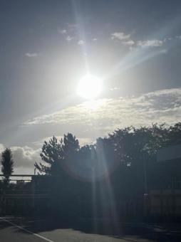 太陽 太陽の写真