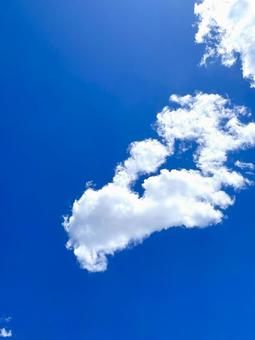 青空 青空の写真