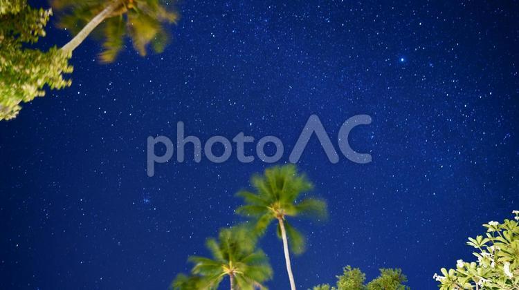 南の島の星空（タイ　トランの島） 星空,夏,木の写真素材