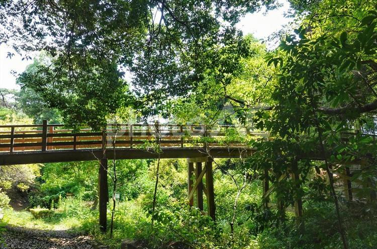 近くの公園散歩 風景,景色,山の写真素材