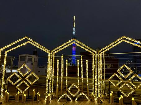 スカイツリーと竹あかり 竹あかり,ネオン,キラキラの写真素材