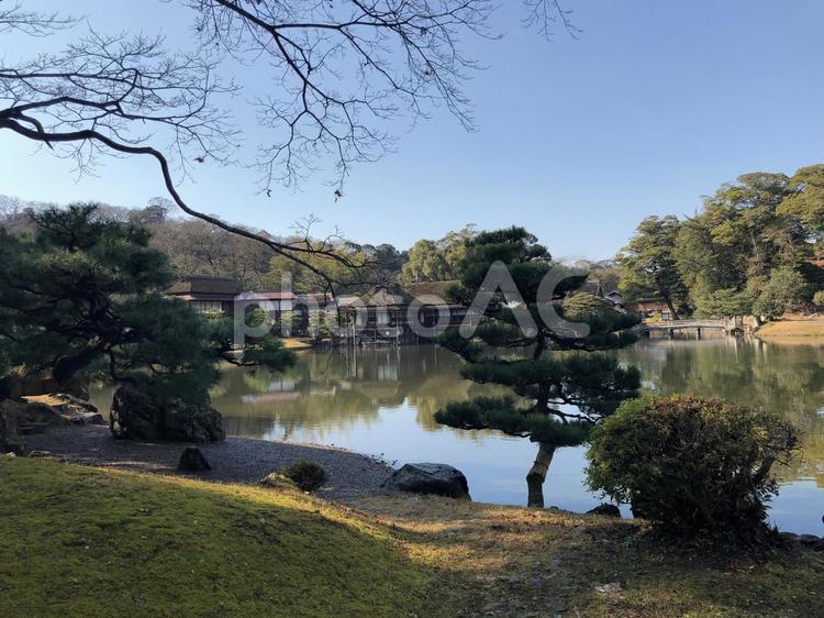池　和風 絶景,風景素材,朝の写真素材