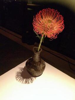 flower, vase, flower, JPG