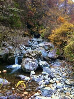 秋と滝 紅葉,滝,滝壺の写真素材