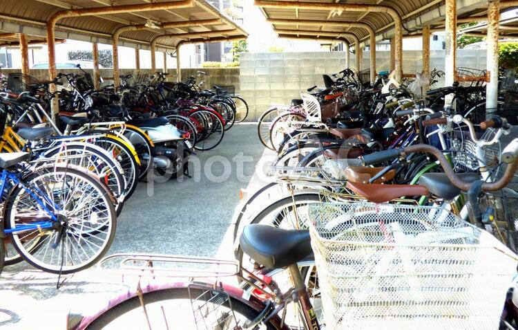 駐輪場　自転車置き場 自転車,自転車置き場,駐輪場の写真素材