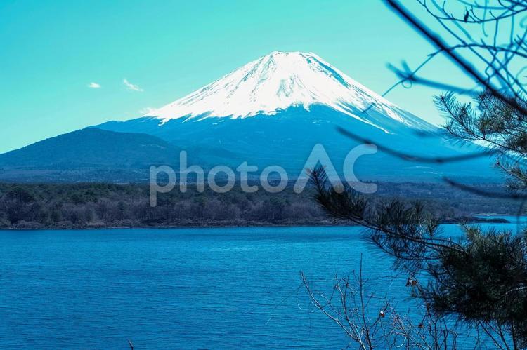 富士山と本栖湖 本栖湖,富士山,湖の写真素材