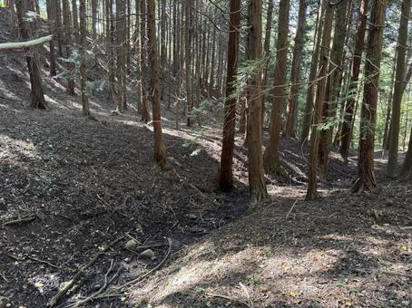 涸れた山の小川 涸れた山の小川 秋,茶色,風景の写真素材