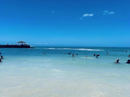 海 海 海,夏,自然の写真素材