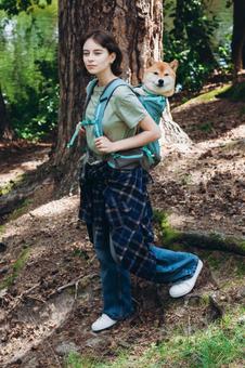 緑の森で犬と立つ人物 女性,犬,柴犬の写真素材