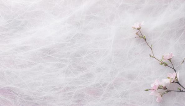 薄桃色の和紙と桜の枝と花 薄桃色の和紙と桜の枝と花の写真