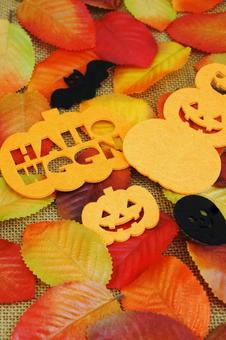 ハロウィン ハロウィン ハロウィン,秋,収穫祭の写真素材