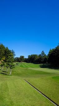 ゴルフ場 ゴルフ場,ゴルフ,スポーツの写真素材