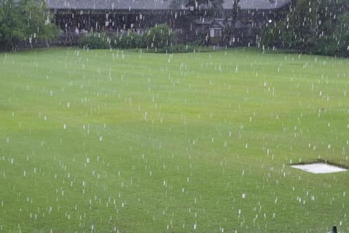 大雨の降る公園の風景 大雨の降る公園の風景 雨,大雨,豪雨の写真素材