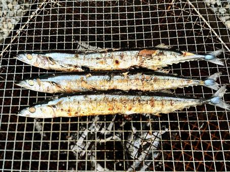 サンマ 炭火,サンマ,さんまの写真素材