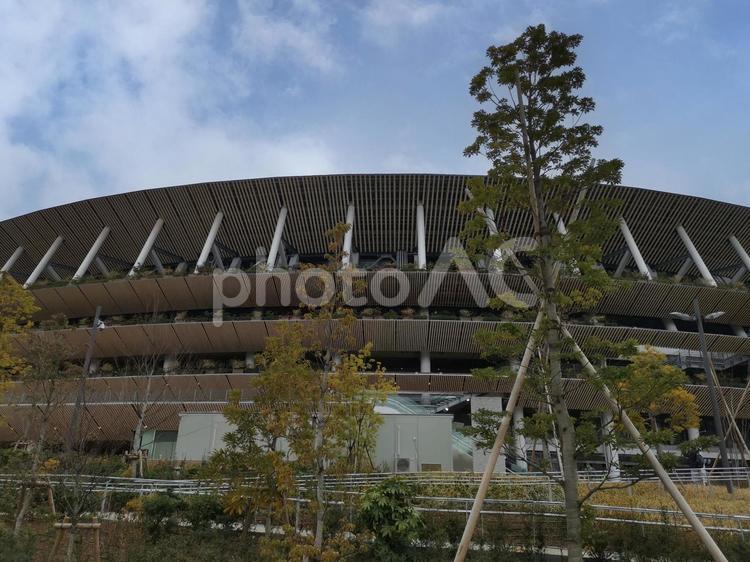 東京　神宮　国立競技場 国立競技場,東京,神宮の写真素材