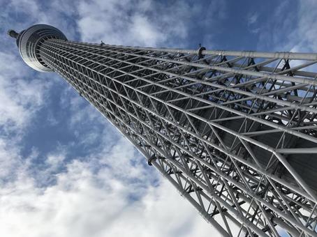 スカイツリー スカイツリーの写真