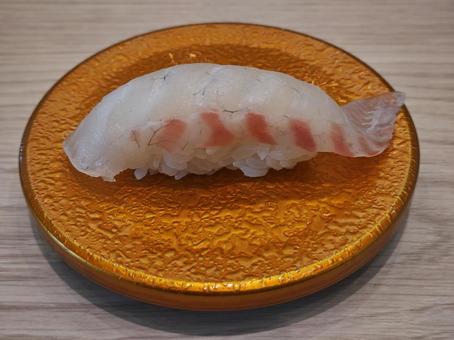 お寿司「真鯛」 お寿司「真鯛」 真鯛,タイ,白身の写真素材