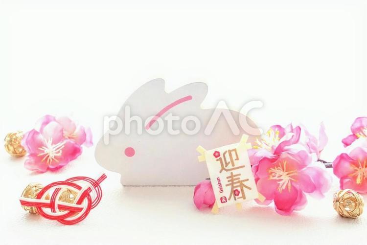 卯年の年賀状正月イメージ 年賀,卯,卯年の写真素材