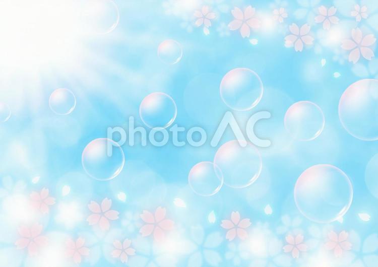 桜吹雪とシャボン玉　春の日差し　背景素材（水色） 春,桜,桜吹雪の写真素材