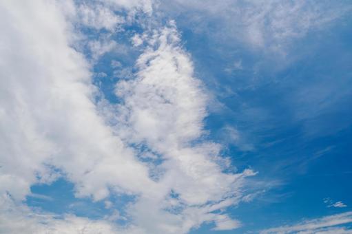 夏の空(38) 夏の空(38)の写真