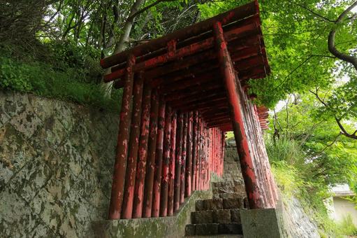 八幡浜市　愛宕山王照院　鳥居と遊歩道 愛宕山王照院,愛宕山,神社の写真素材