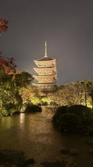 雨の東寺五重塔ライトアップ 東寺,五重塔,ライトアップの写真素材