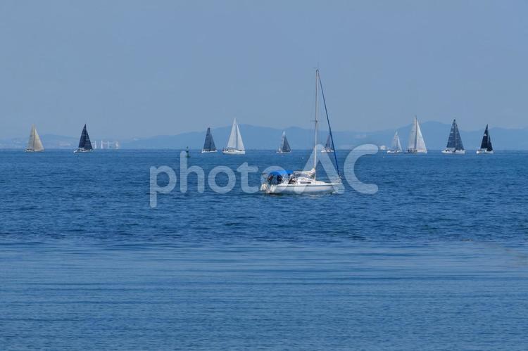 せんなん海里公園　ヨット 海,ヨット,青空の写真素材