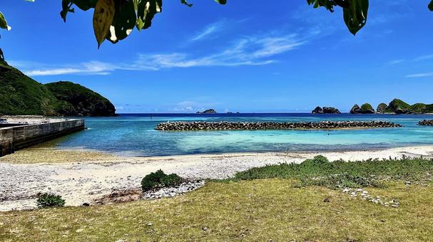慶良間諸島阿嘉島の干潮時の夏の前浜ビーチ 慶良間諸島阿嘉島の干潮時の夏の前浜ビーチ 前浜,ビーチ,阿嘉島の写真素材