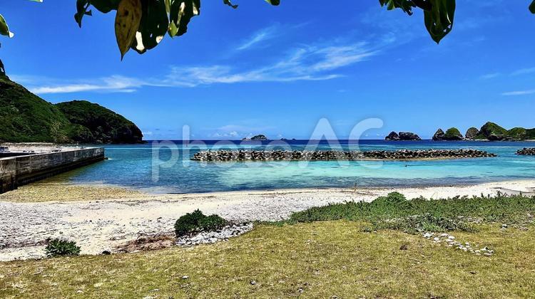 慶良間諸島阿嘉島の干潮時の夏の前浜ビーチ 前浜,ビーチ,阿嘉島の写真素材