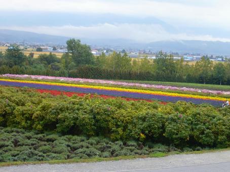 北海道4 北海道4の写真