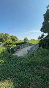 馬込川みずべの公園に架かる橋 馬込川みずべの公園に架かる橋 水,水遊び,夏の写真素材