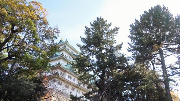 名古屋城　天守　大天守 名古屋城,尾張徳川家,御三家の写真素材