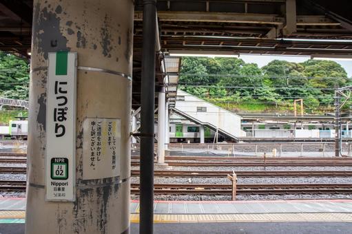 日暮里駅のホーム 日暮里駅,日暮里,ホームの写真素材