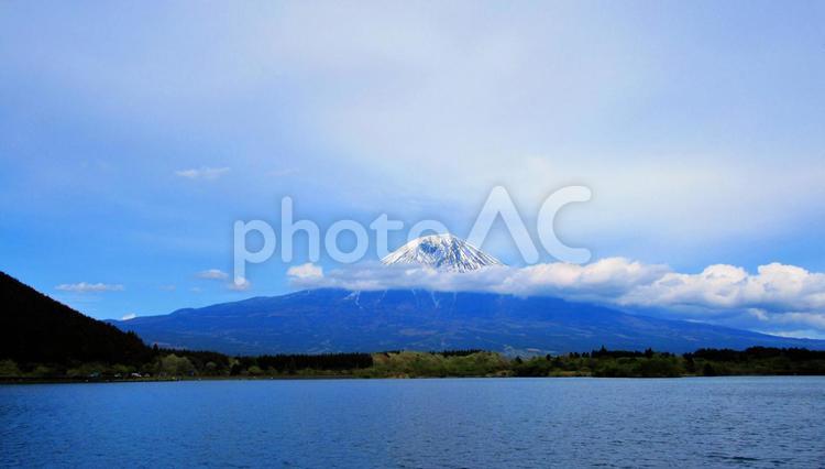 田貫湖から見える春の富士山４ 富士山,富士,曇り空の写真素材