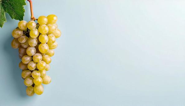 マスカットの写真