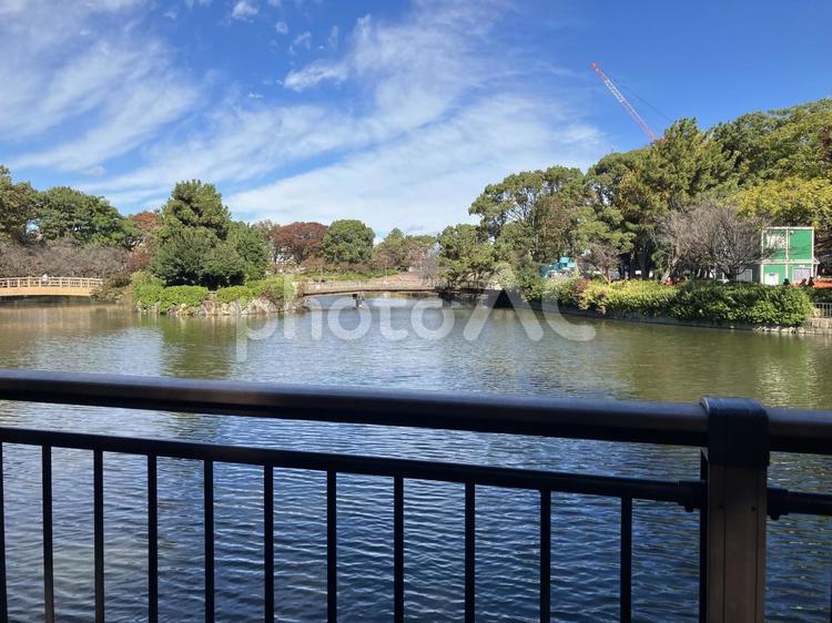 名古屋城　水堀 名古屋城,緑,水堀の写真素材