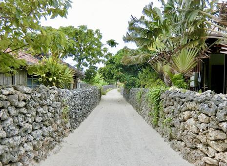 竹富島の町並み 竹富島の町並み 竹富,竹富島,沖縄の写真素材