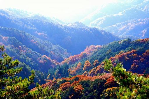 霧に霞む紅葉の山々 山,紅葉,秋の写真素材