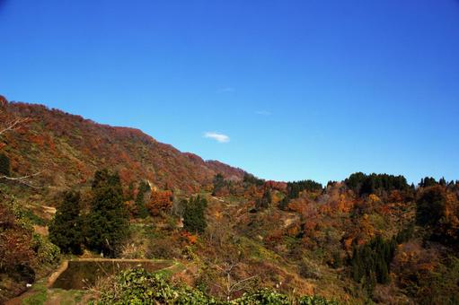 25年　山古志紅葉 綺麗,きれい,空の写真素材