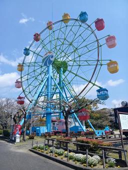 霧島市城山公園の観覧車 霧島市城山公園の観覧車 観覧車,鹿児島県,霧島市の写真素材