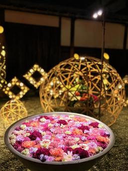 花手水 花手水,足利学校,夜の写真素材