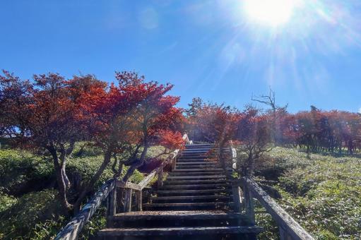 大台ヶ原の紅葉 10月,秋,山歩きの写真素材