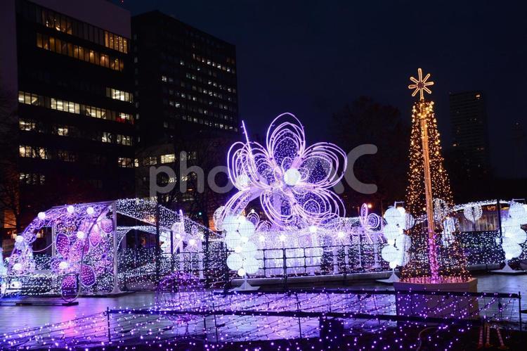札幌クリスマスイルミネーション 北海道,札幌,イルミネーションの写真素材