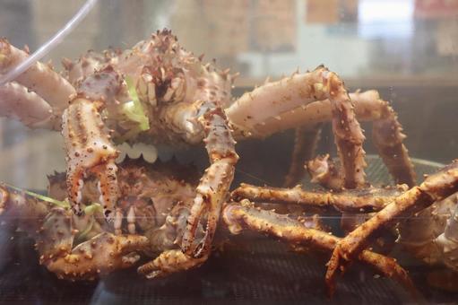 タラバガニ 活き,市場,魚市場の写真素材