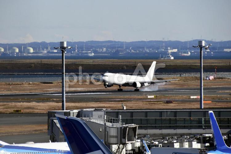 羽田空港の飛行機 飛行機,旅客機,羽田空港の写真素材