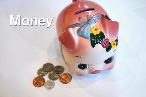 マネーとブタちゃんの貯金箱 マネーとブタちゃんの貯金箱 貯金箱,ブタ,コインの写真素材