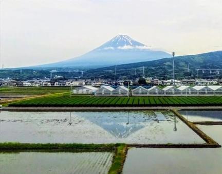 Photo, upside-down fuji, fuji mountain, mountain, 