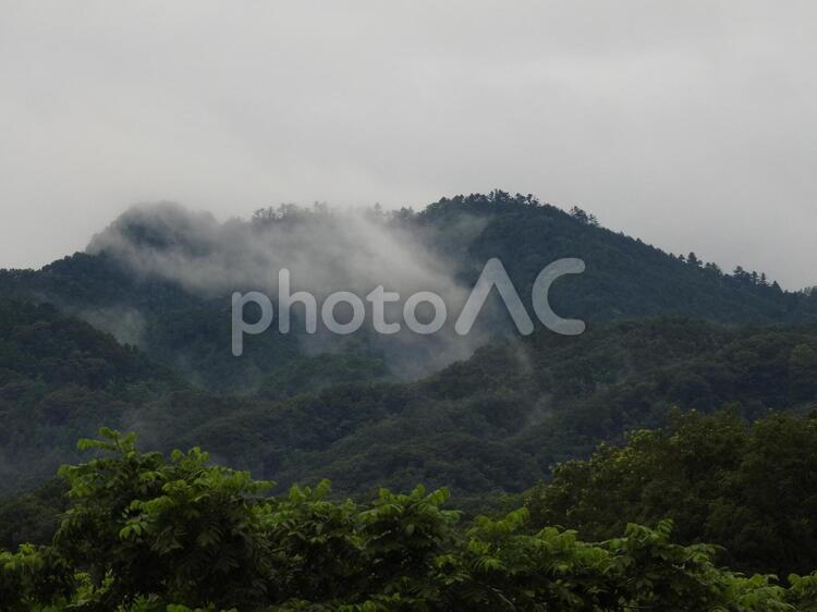 雨上がりの里山のイメージ 雨上がり,里山,山の写真素材