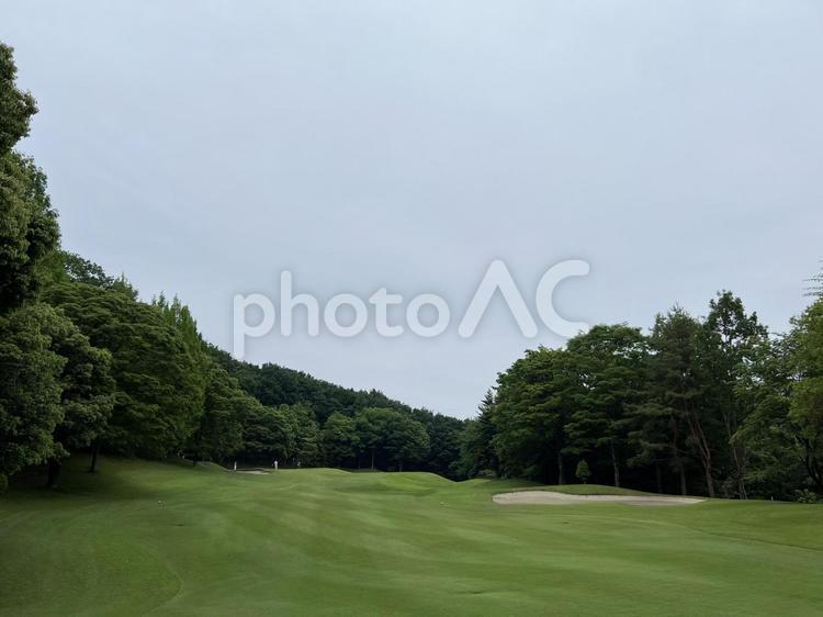 緑豊かなゴルフコースのセカンドショット ゴルフ,ゴルフ場,コースの写真素材