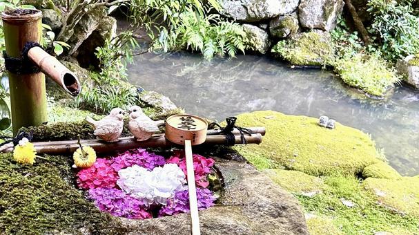 柳谷観音 本堂 獅子脅し 柳谷観音 本堂 獅子脅しの写真